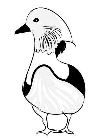 Mandarin Duck Coloring Page